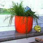 Frohe Ostern!