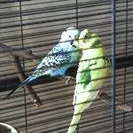 Sweetie und Richie