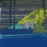 Vorsicht in der Badewanne