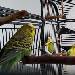 Alle fünf auf einem Bild