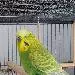 Posti