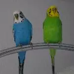 Robby und Krümel