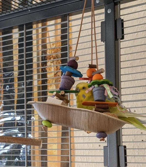 Wellensittich-Bild: Endlich wurde das selbstgebastelte Spielzeug erobert, wohl dank des kleinen Korkstücks 