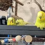 Gemeinsam chillen ist toll