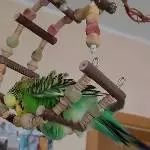 Yoshi hat ganz besonderen Spaß
