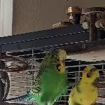 Ein bisschen Liebe