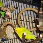 Otto denkt und Coco schreddert