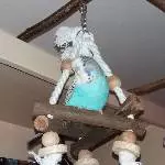 Spike Frechdachs