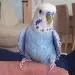Pepo