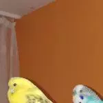 Petra und Hansi