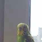 Larry auf dem Spielplatz