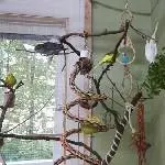 Peach\'s Diätgeheimnis