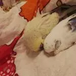 Schlafenszeit 