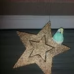 Mein Weihnachtsstern