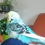 Kleines Nickerchen