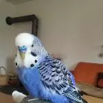 Ich bin Charly