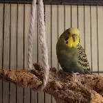Die kleine Berta