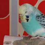 Ich bin sooo müde