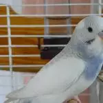 Unsere kleine Maus ohne Namen