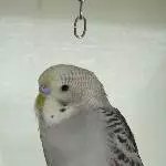 Hier bin ich noch ganz klein
