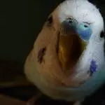 Huhu, ich bin´s !