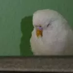 Wenn einem die Müdigkeit überkommt