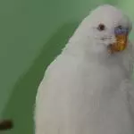 Wow, hui, boah, ollala, 