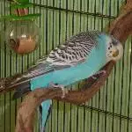 Guck doch mal liebe Felo