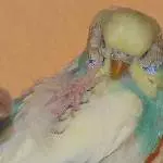 Hey, Victorie...