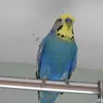 Ich bin Timo