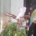 Im vorweihnachtlichen Lichterglanz 