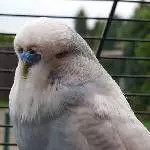 Hab alles im Blick 