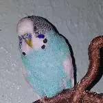 Teeny ganz entspannt