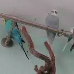 Das ist mein Platz