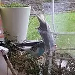 Schau Teeny, so kommt man da ran