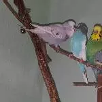 Happy together