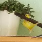 Genuss in jeder Lage