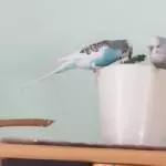 Gemeinsam gehts schneller