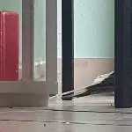 Los Teeny komm mit, das macht Spass!!