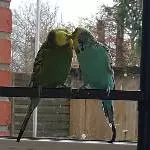 Das ist Liebe