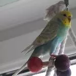 Hübsche Tessy