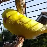 Teely ist geschafft 