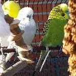 Mittagsstunde in der Sonne