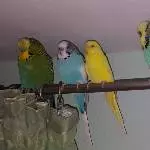 1, 2, 3  sind alle angetreten