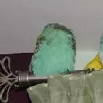 Gute Nacht alle miteinander