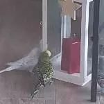 Ist diese Deko adventstauglich?