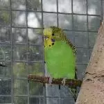 Lotti, schüchterne Kleine