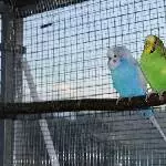 Bastian & Stella 