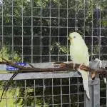 Das ist meine Mara 