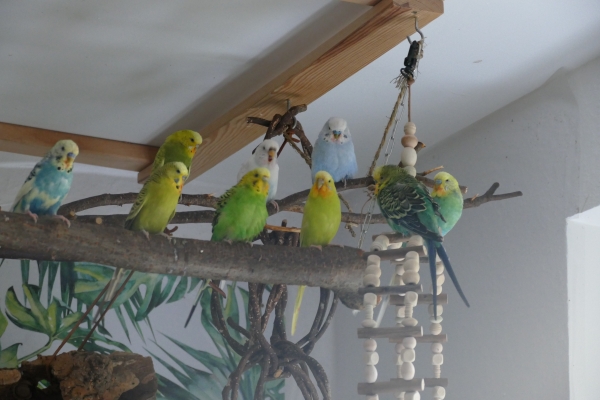 Aktuelles Gruppenfoto